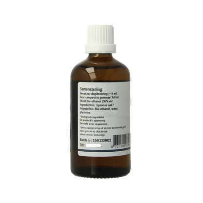 GO Acer campestris bio 100.00 Milliliter