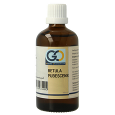 GO Betula pubescens bio 100.00 Milliliter