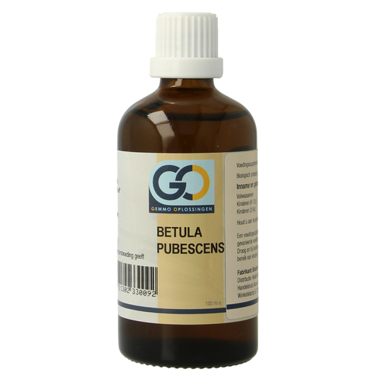 GO Betula pubescens bio 100 Milliliter