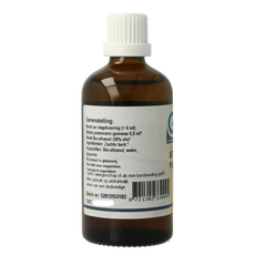 GO Betula pubescens bio 100.00 Milliliter