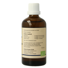 GO Betula pubescens bio 100.00 Milliliter