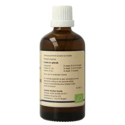 GO Betula pubescens bio 100.00 Milliliter