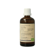 GO Carpinus betulus bio 100.00 Milliliter