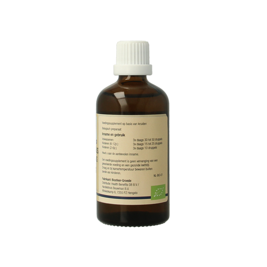 GO Carpinus betulus bio 100.00 Milliliter