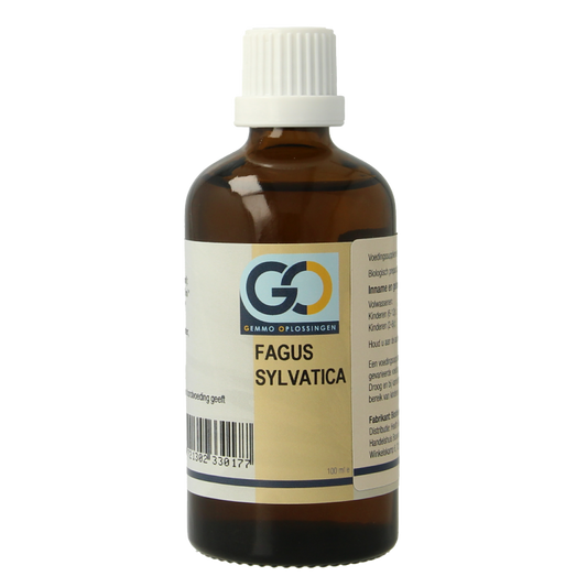 GO Fagus sylvatica bio 100 Milliliter