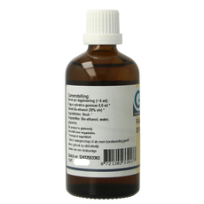GO Fagus sylvatica bio 100.00 Milliliter