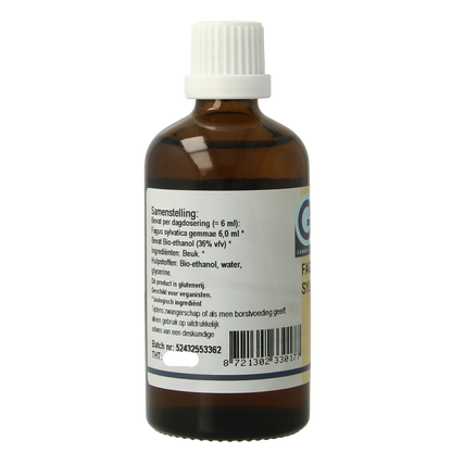 GO Fagus sylvatica bio 100.00 Milliliter