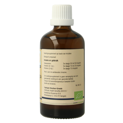 GO Fagus sylvatica bio 100.00 Milliliter