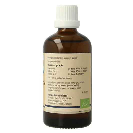 GO Fagus sylvatica bio 100.00 Milliliter