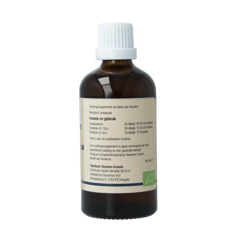 GO Ilex aquifolium bio 100 Milliliter