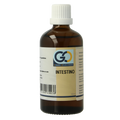 GO Intestino bio 100 Milliliter
