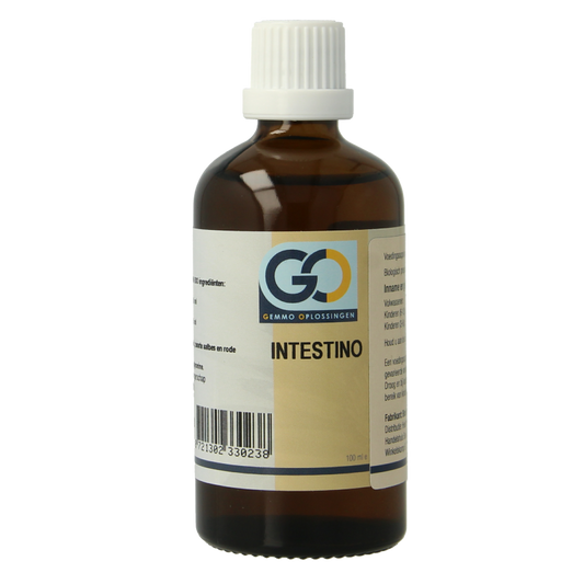 GO Intestino bio 100 Milliliter