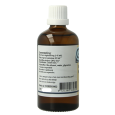 GO Ribes nigrum bio 100.00 Milliliter
