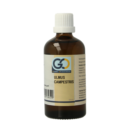 GO Ulmus campestris bio 100.00 Milliliter