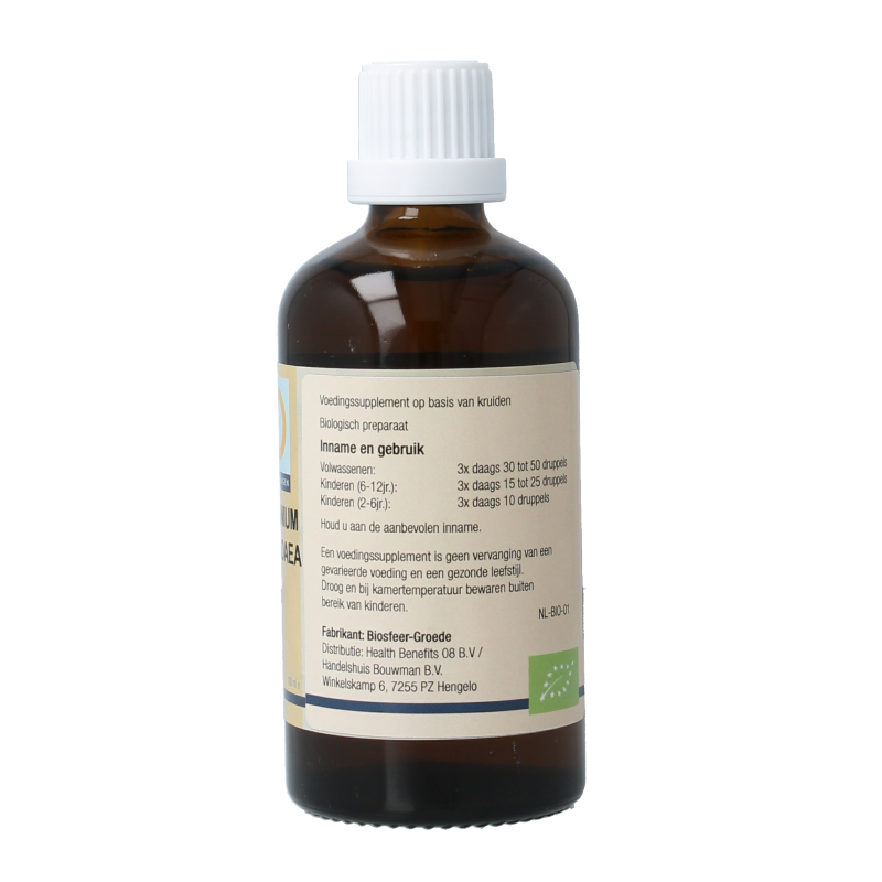 GO Vaccinium vitis idaea bio 100 Milliliter