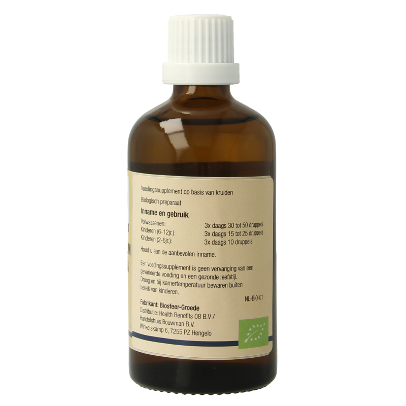 GO Viburnum lantana bio 100 Milliliter