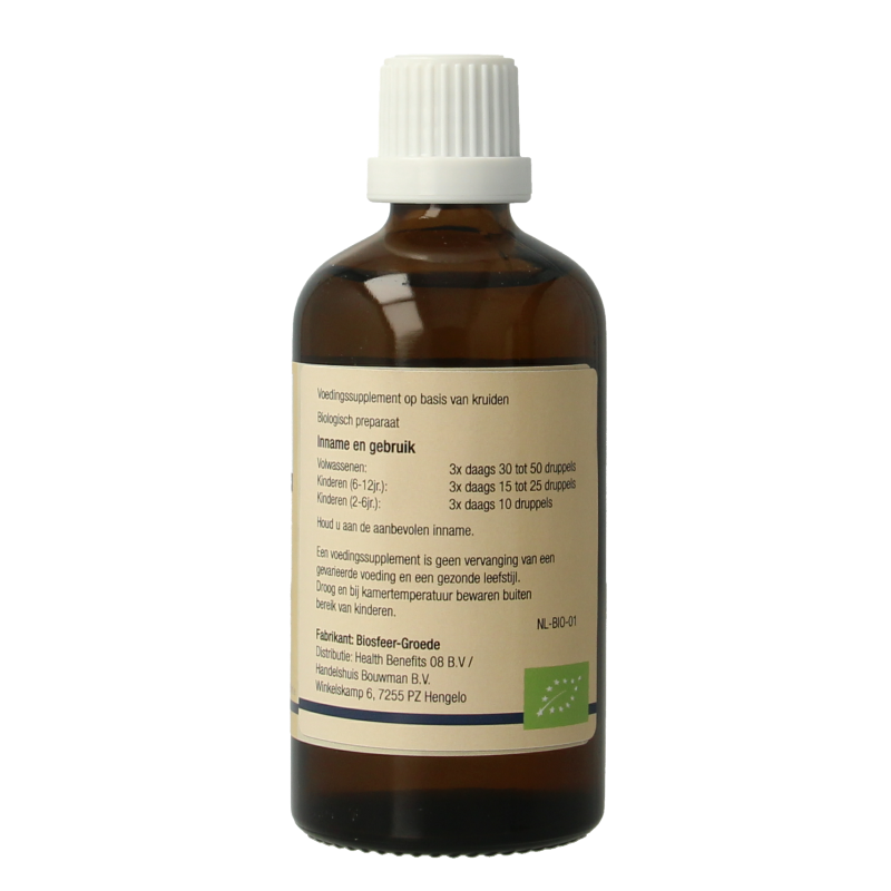 GO Viscum album bio 100 Milliliter