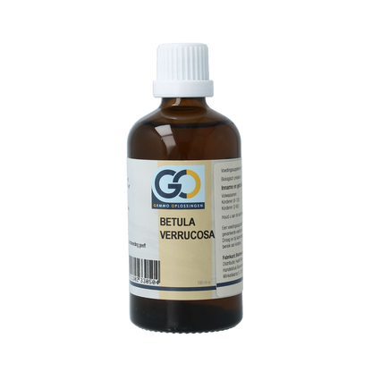 GO Betula verrucosa bio 100.00 Milliliter