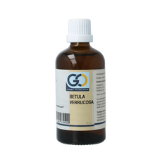 GO Betula verrucosa bio 100 Milliliter