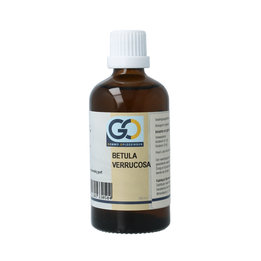 GO Betula verrucosa bio 100 Milliliter
