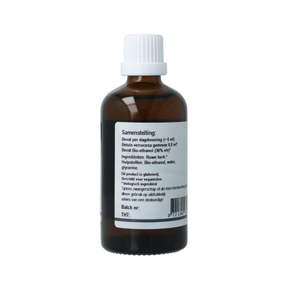 GO Betula verrucosa bio 100.00 Milliliter
