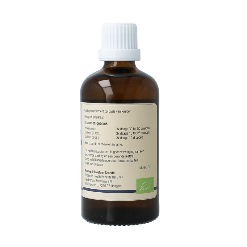 GO Ligustrum vulgare bio 100 Milliliter