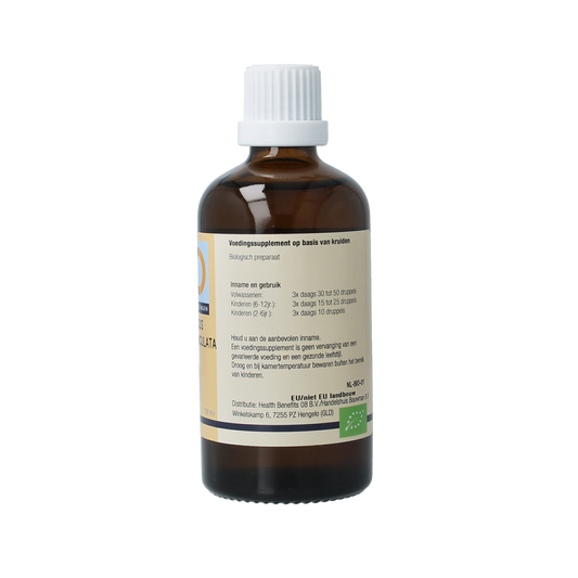GO Quercus pedunculata 100.00 Milliliter