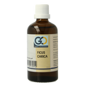 GO Ficus carica bio 100 Milliliter