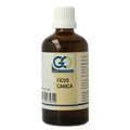 GO Ficus carica bio 100.00 Milliliter