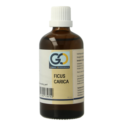 GO Ficus carica bio 100.00 Milliliter