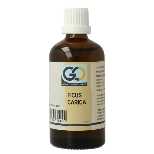 GO Ficus carica bio 100.00 Milliliter