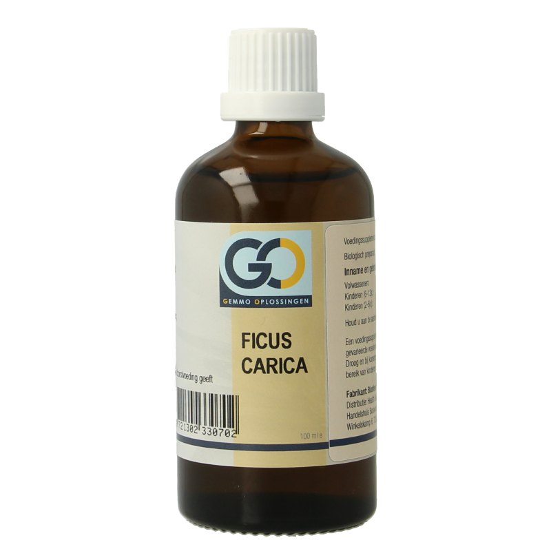 GO Ficus carica bio 100 Milliliter