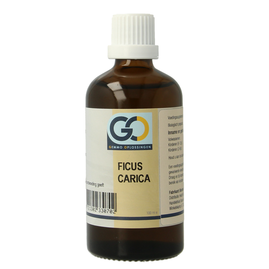 GO Ficus carica bio 100 Milliliter