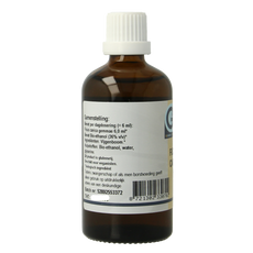 GO Ficus carica bio 100 Milliliter