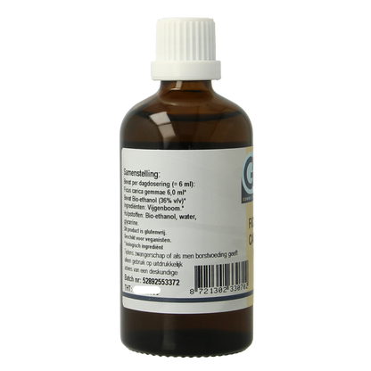 GO Ficus carica bio 100.00 Milliliter