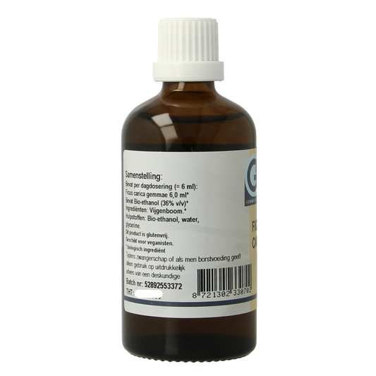 GO Ficus carica bio 100 Milliliter