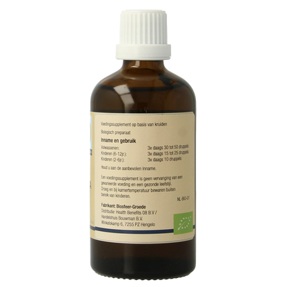 GO Ficus carica bio 100.00 Milliliter