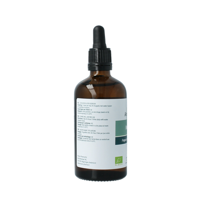 Aromedica Beuk gemmo tinctuur - Fagus sylvatica bio 100.00 Milliliter