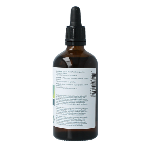 Aromedica Vijg gemmo tinctuur - Ficus carica bio 100.00 Milliliter