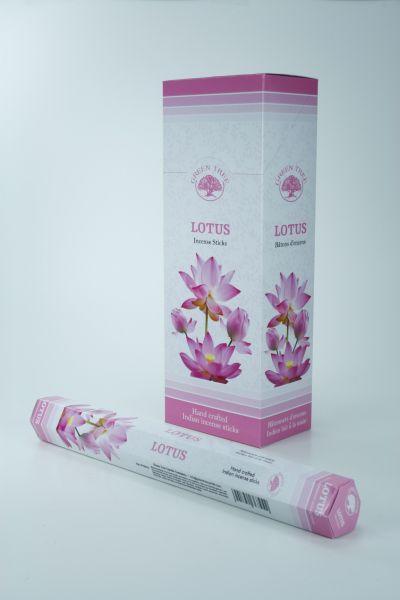 Green Tree Wierook lotus 20 Stuks