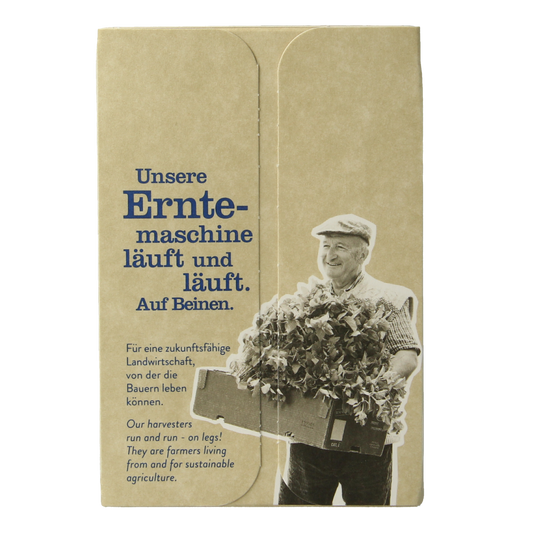 Sonnentor Assam English zwarte thee bio 18.00 Zakjes