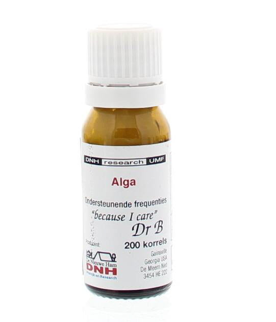 DNH Alga  200 Stuks