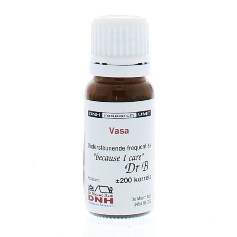 DNH Vasa 200 Stuks