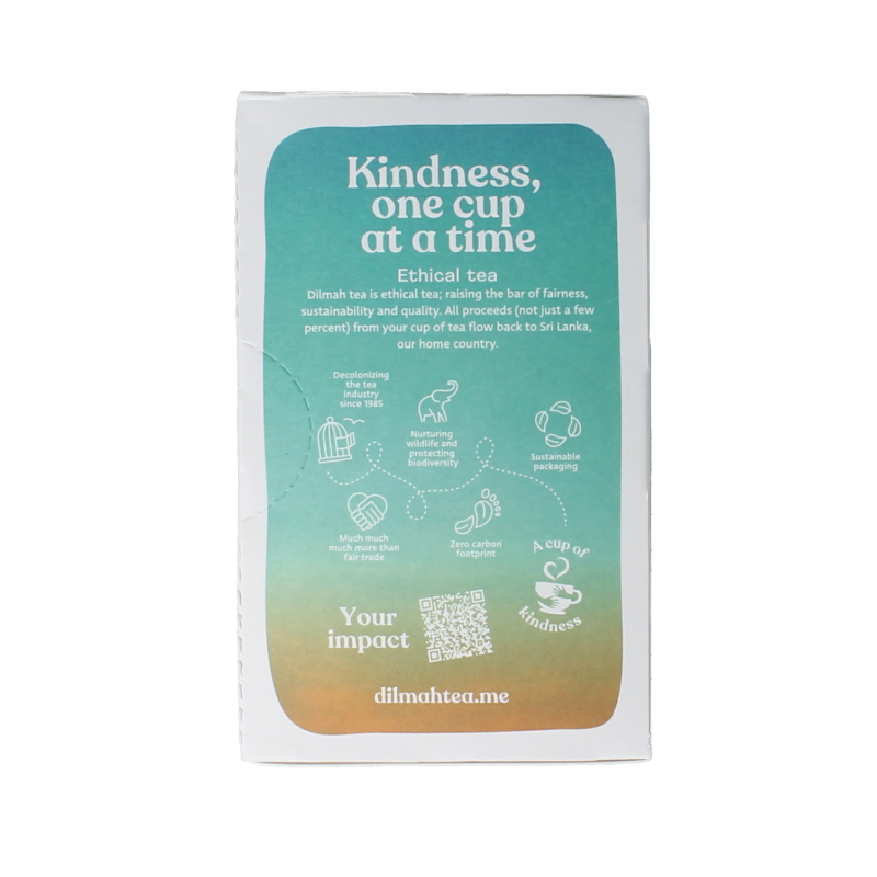 Dilmah Green tea with ginger bio 20 Zakjes