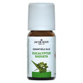 Jacob Hooy Eucalyptus radiata olie 10.00 Milliliter