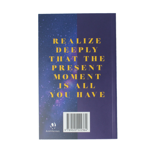 Ankh Hermes De kracht van het nu in de praktijk 1 Boek