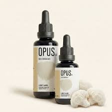Opus Mushrooms Lion's Mane